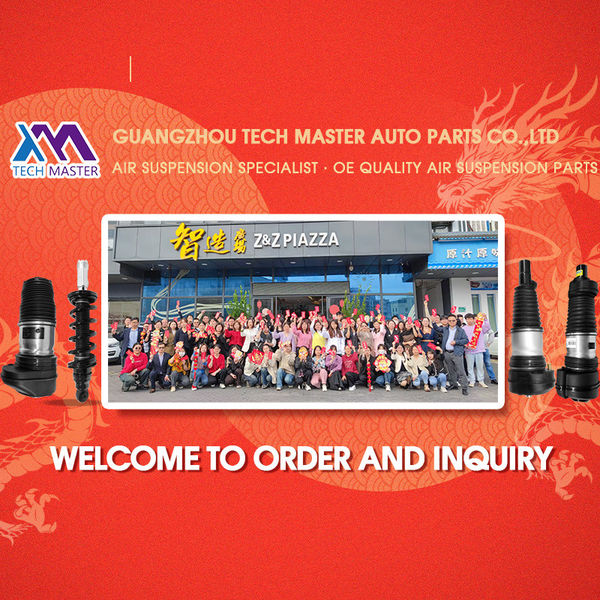 Китай Guangzhou Tech Master Auto Parts Co.Ltd 