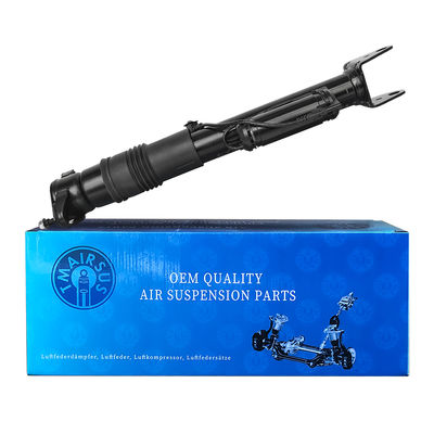 2513202231 Регулируемая пневматическая подвеска Mercedes-Benz W251/R300 задняя