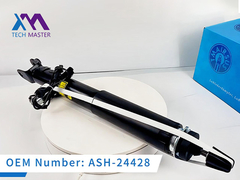 Технический мастер LINCOIN MKS MKT Задняя часть с электрическим амортизатором ASH-24428