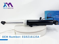 Технический мастер Линкольн MKZ Задний правый амортизатор с ADS EG9Z18125A