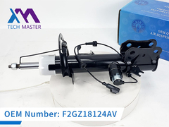 Технический мастер Lincoln MKX передний левый амортизатор с ADS F2GZ18124AV