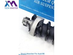 Технический мастер TMAIRSUS Амортизатор для Audi R8