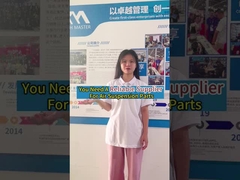 Фабрика воздушных подвесок из Гуанчжоу, Китай