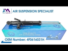 Технический мастер TMAIRSUS Задний левый амортизатор для Audi A6L/C6 4F0616031H