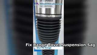 Пневматические стойки Tech Master TMAIRSUS для Land Rover Range Rover L405 и Range Rover Sport L49