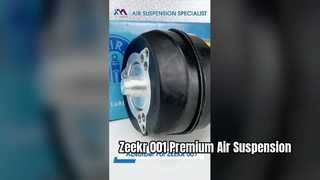 Амортизаторы с пневматической подвеской Tech Master TMAIRSUS для Zeekr 001